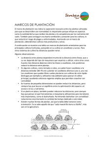 Marcos de plantación (en castellano).