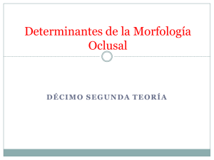 Determinantes de la Morfología Oclusal