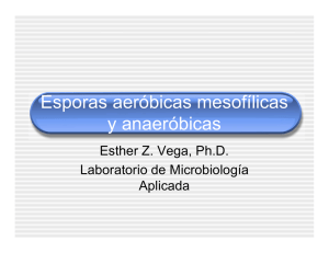 Formadores de esporas - Laboratorio Microbiología Aplicada UPRH