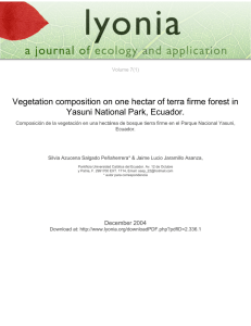 Vegetation composition on one hectar of terra firme forest in Yasuni