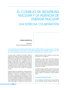 el consejo de seguridad nuclear y la agencia de energía nuclear