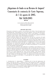 ¿Alegaciones de fondo en un Recurso de Amparo? Comentario de