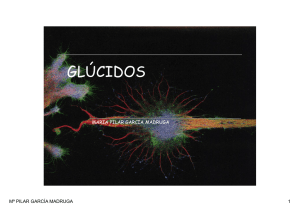 GLUCIDOS - WordPress.com