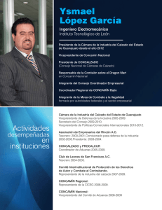 Currículum Ysmael López García - Cámara de la Industria del