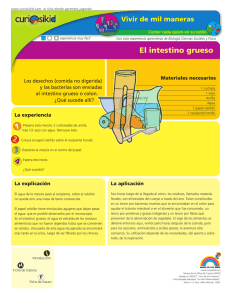 El intestino grueso (PDF - 171 Kb)