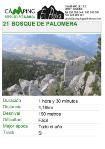 21 bosque de palomera - Camping Repòs del Pedraforca