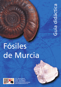 Guía Didáctica - Fósiles de Murcia