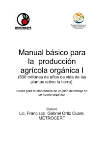 Manual de producción de agricultura orgánica v1