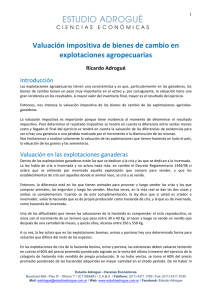 Noviembre 2005 / Valuación impositiva de bienes