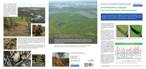 Inundaciones y sequías - Wetlands International
