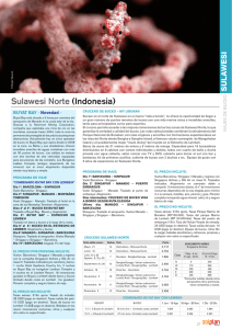 Sulawesi Norte (Indonesia)