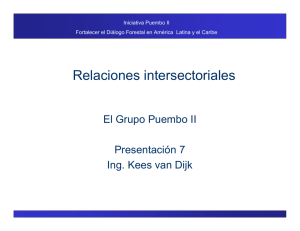 Relaciones intersectoriales. El Grupo Puembo I: presentación 7