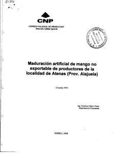 Page 1 CNP CONSEJO NACIONAL DE PRODUCCION Dirección