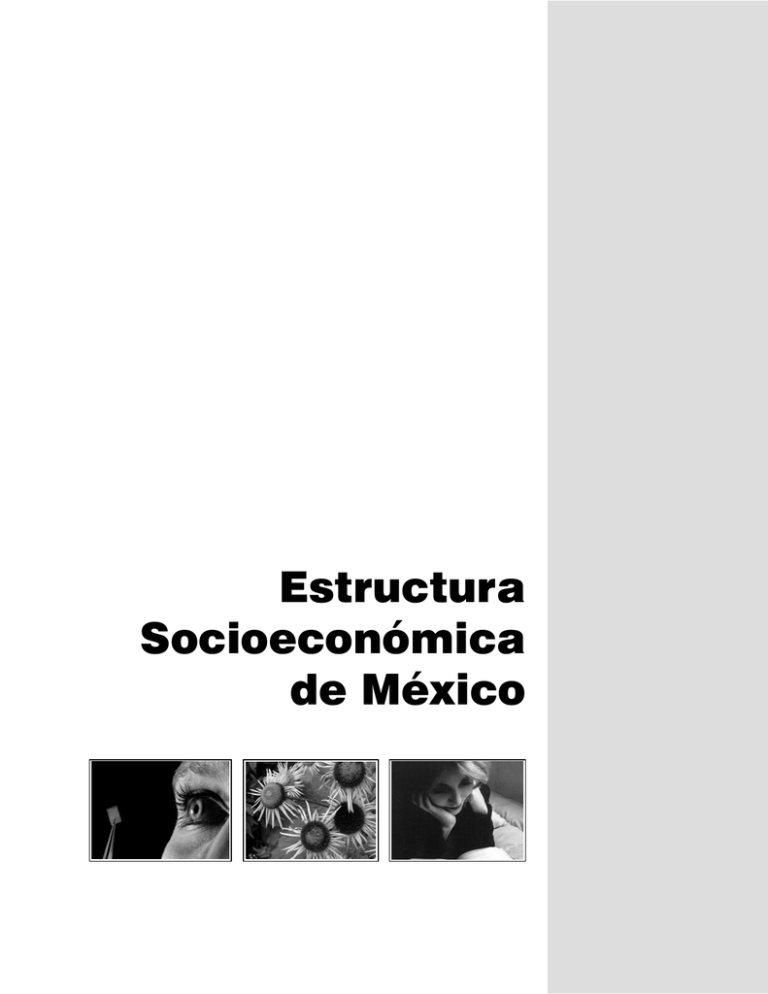 Estructura Socioeconómica De México