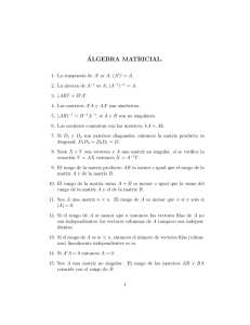 ´ALGEBRA MATRICIAL.