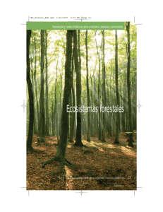 Ecosistemas forestales