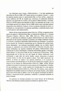 Las relaciones entre Avena y Helictotrichon s. 1. ha sido