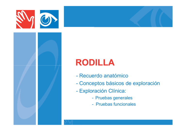 rodilla