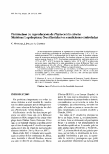 Parámetros de reproducción de Phyllocnistis citrella Stainton