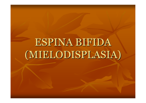 ESPINA BIFIDA (MIELODISPLASIA)
