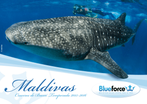 Blueforcew - Maldives Blue Force