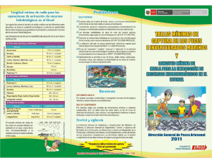 Tallas mínimas de captura de pescados y mariscos marinos