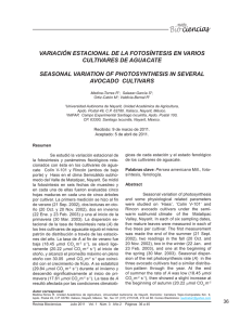 variación estacional de la fotosíntesis en varios cultivares de