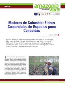 Maderas de Colombia: Fichas Comerciales de