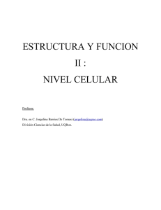 estructura y funcion ii : nivel celular