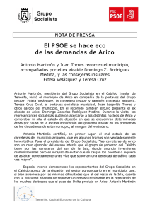 El PSOE se hace eco de las demandas de Arico