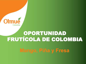 Oportunidad Frutícola de Colombia