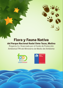Flora y Fauna Nativa - biodiversidad7tazas