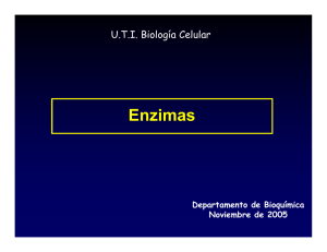 Enzimas - Biología Celular