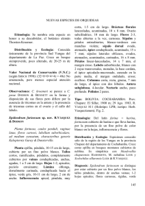 NUEVAS ESPECIES DE ORQUIDEAS 145 Etimología: Se nombra