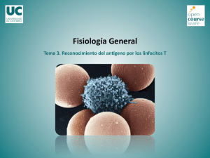 Tema 3 - Bloque III: Reconocimiento del antígeno por los linfocitos T