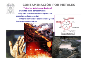 CONTAMINACIÓN POR METALES