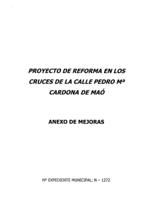 PRO YECTO DE REFORMA EN LOS CRUCES DE LA CALLE