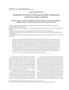 Composition of the diet of Netta peposaca (Birds: Anseriformes) in