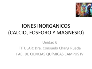 IONES INORGANICOS (CALCIO, FOSFORO Y MAGNESIO)