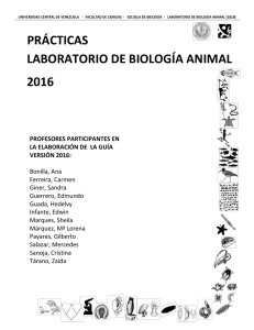 prácticas laboratorio de biología animal 2016