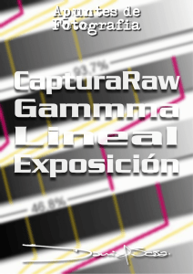 Daniel Sosa Captura Raw, Gamma Lineal y Exposición 1