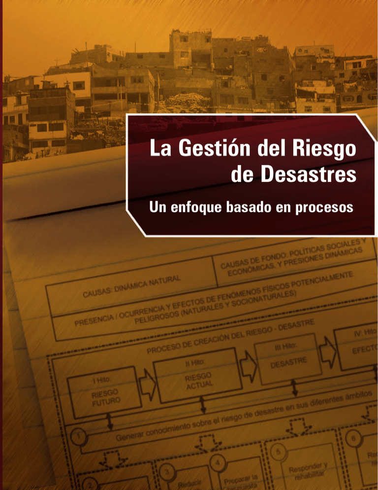 La Gestión Del Riesgo De Desastres 0822