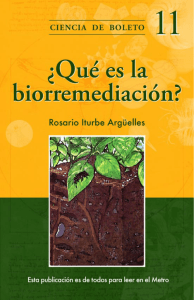 ¿Qué es la biorremediación?
