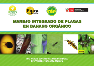 manejo integrado de plagas en banano orgánico