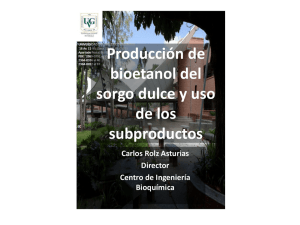 Producción de bioetanol del sorgo dulce y uso de los subproductos