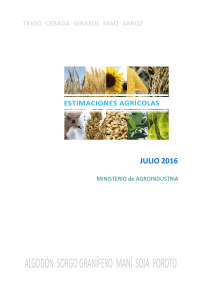informe mensual de Estimaciones Agrícolas