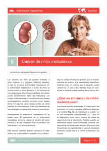 Cáncer de riñón metastásico - EAU Patient Information