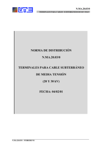 NORMA DE DISTRIBUCIÓN N.MA.20.03/0 TERMINALES PARA