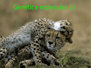 Genética molecular (I)
