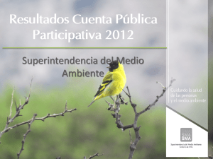 Presentación de PowerPoint - Superintendencia del Medio Ambiente